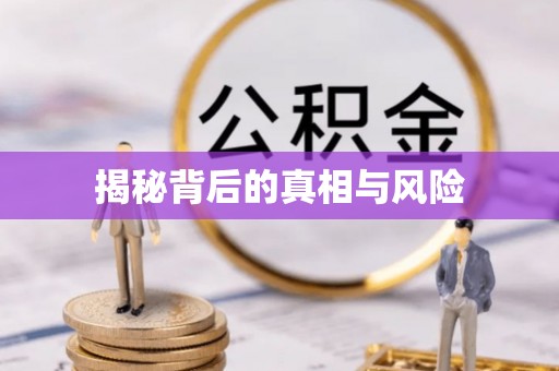 武乡揭秘背后的真相与风险