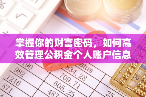 武乡掌握你的财富密码，如何高效管理公积金个人账户信息
