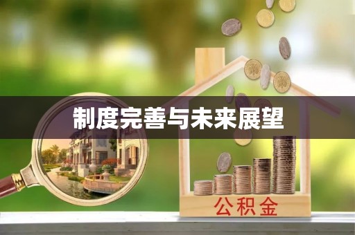 武乡制度完善与未来展望