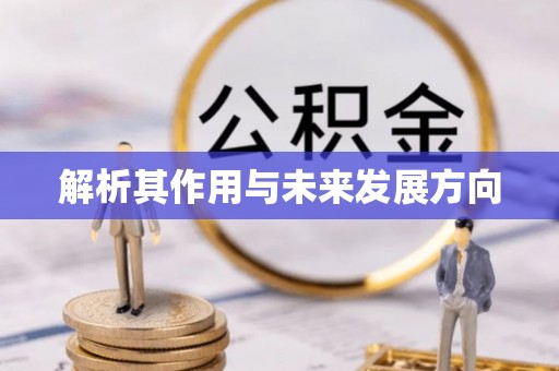 武乡解析其作用与未来发展方向