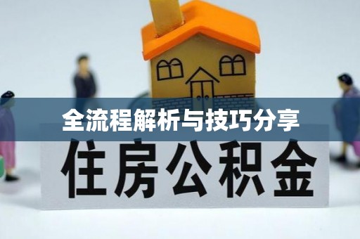 武乡全流程解析与技巧分享